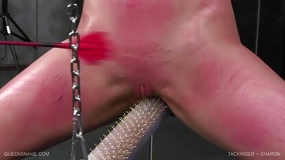 Queensnake.Com tackrider. / شارون سيكس محارم جديد