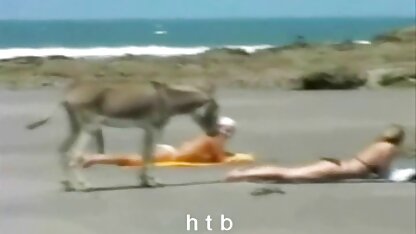 مرح.4. H. T. B. فيديو سكس مترجم للعربي